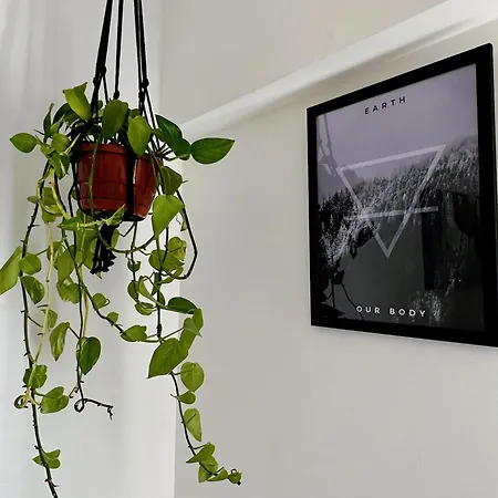 Nations アインシーレム