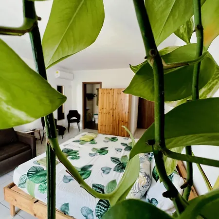 ゲストハウス Nations